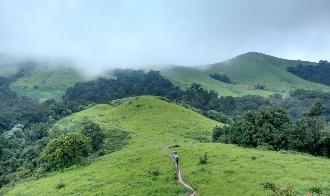 Kodachadri Trek