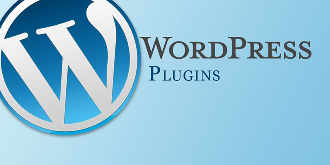 Reasons Why the Accessibe WordPress Plugin Is Important for Every Business Site