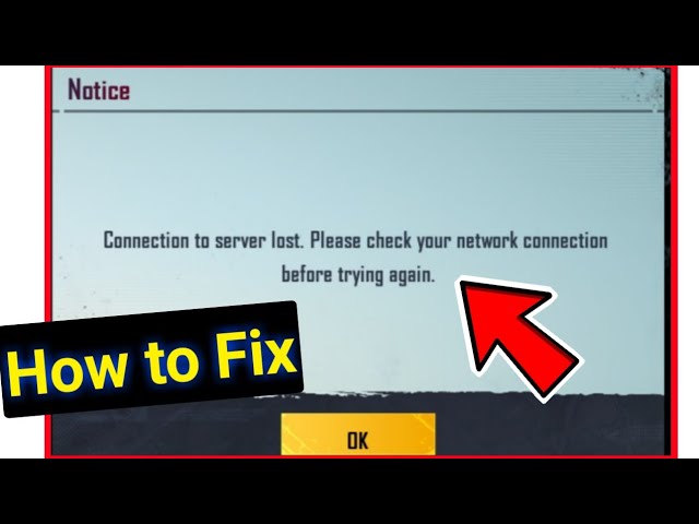 PUBG Login Fix