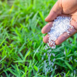Indian Fertilizer Market