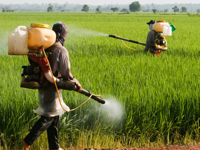 Indian Pesticides Market