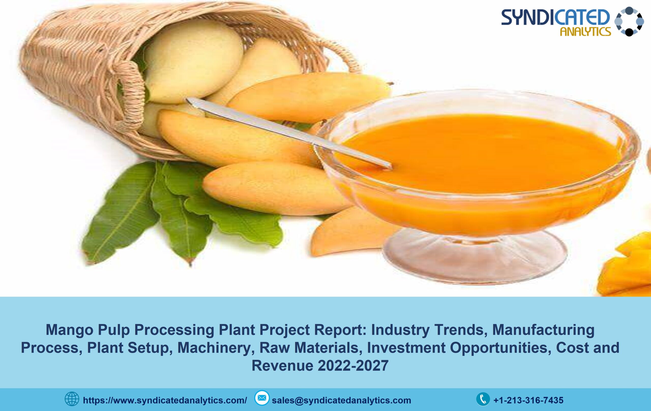 Mango Pulp Processing Plant