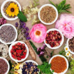 Medicinal Flowers