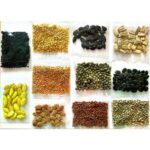 Seeds Market