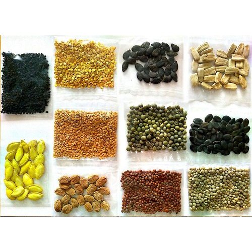 Seeds Market