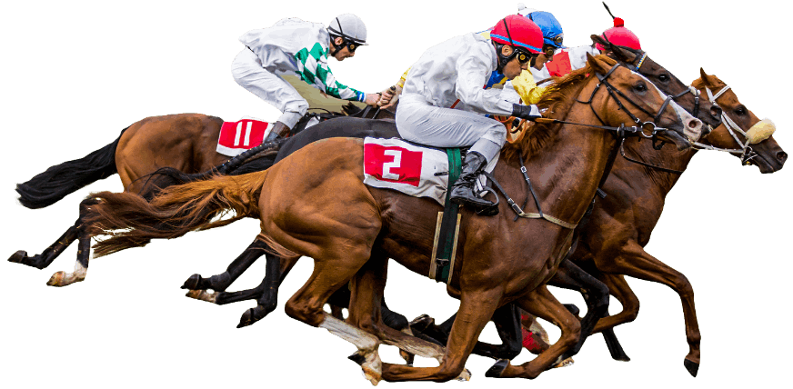 Three Free Santa Anita Picks from the Guaranteed Tip Sheet