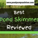 pond
