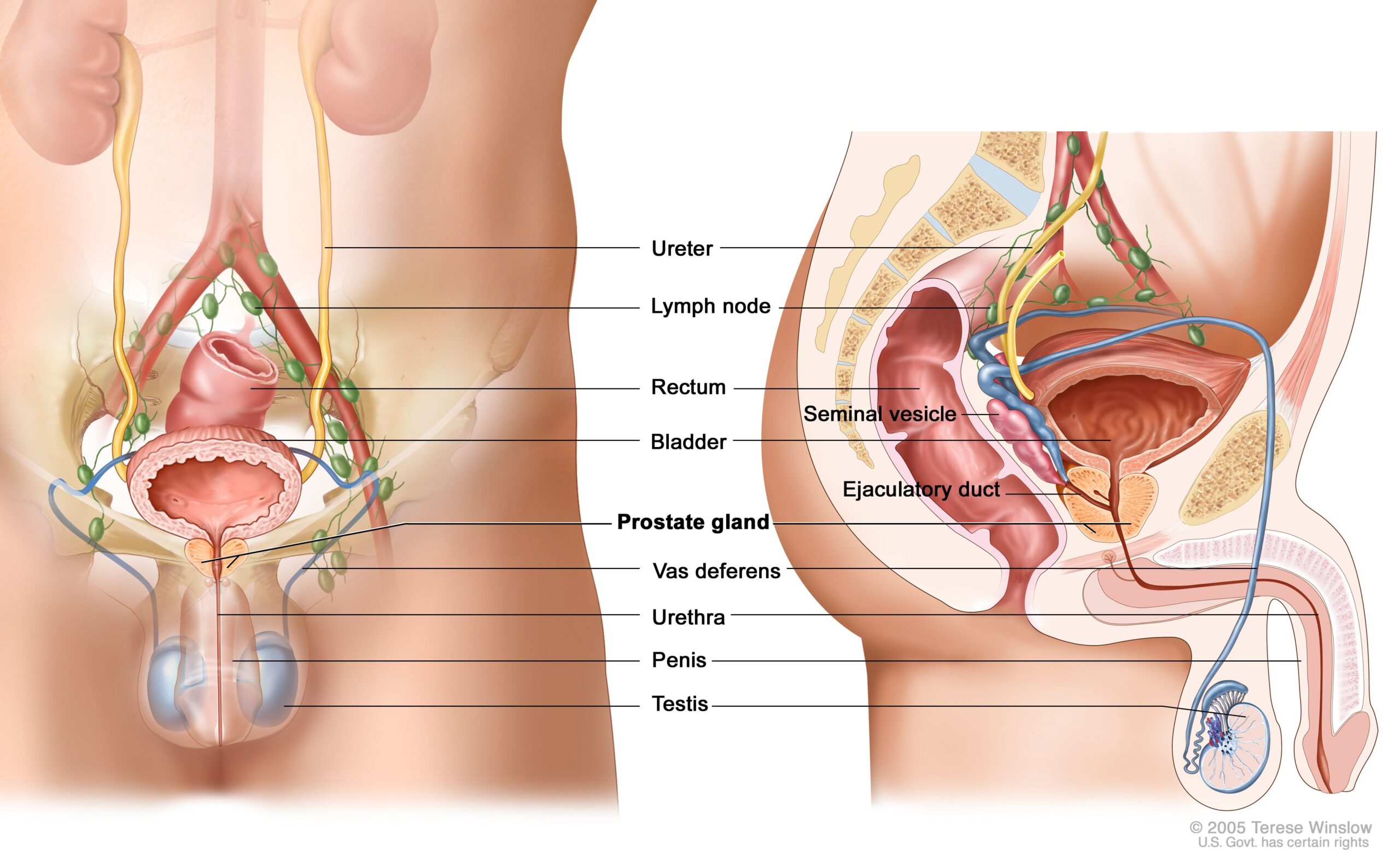 prostate cancer treatment