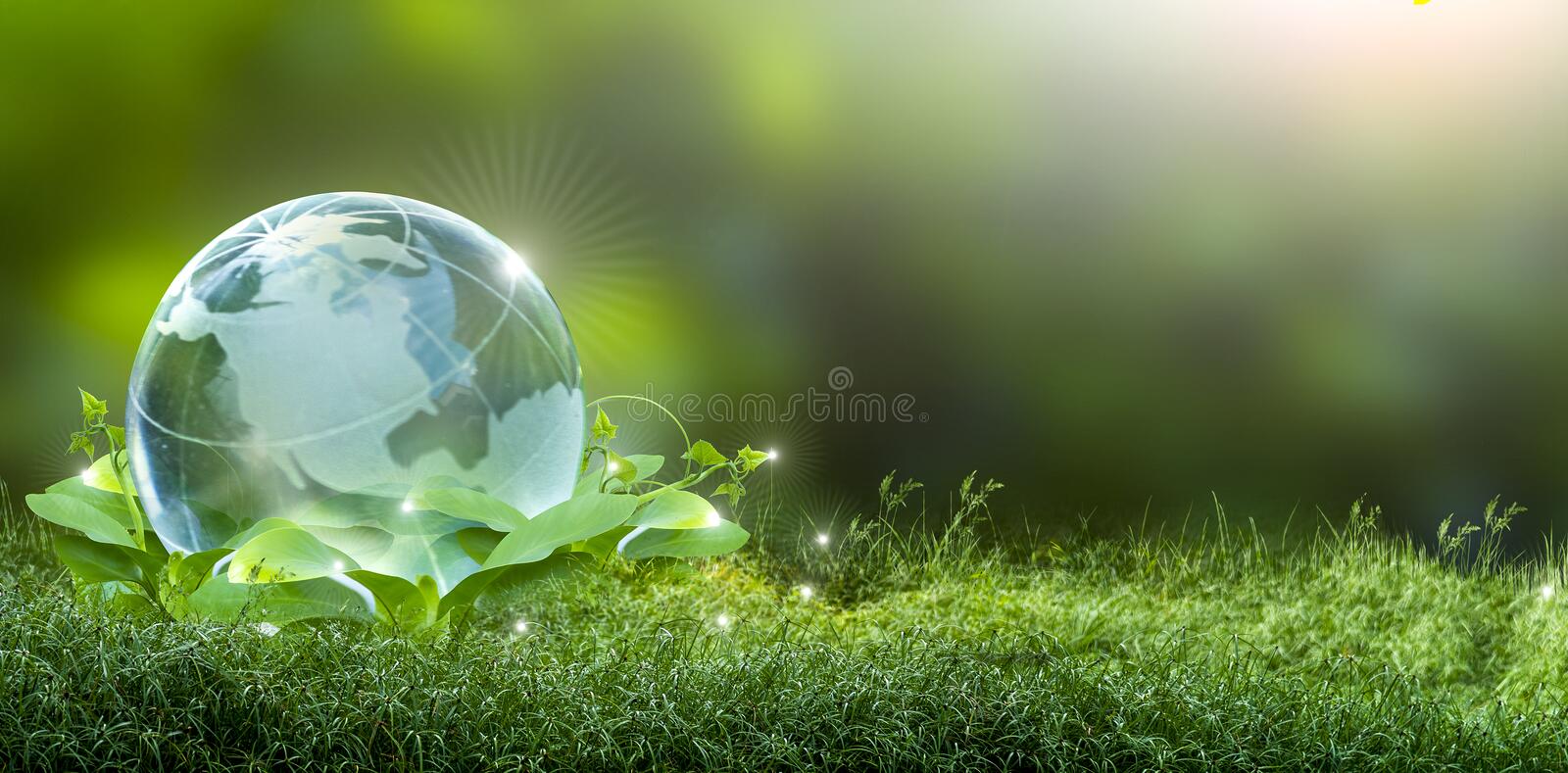 Energetic Synonym